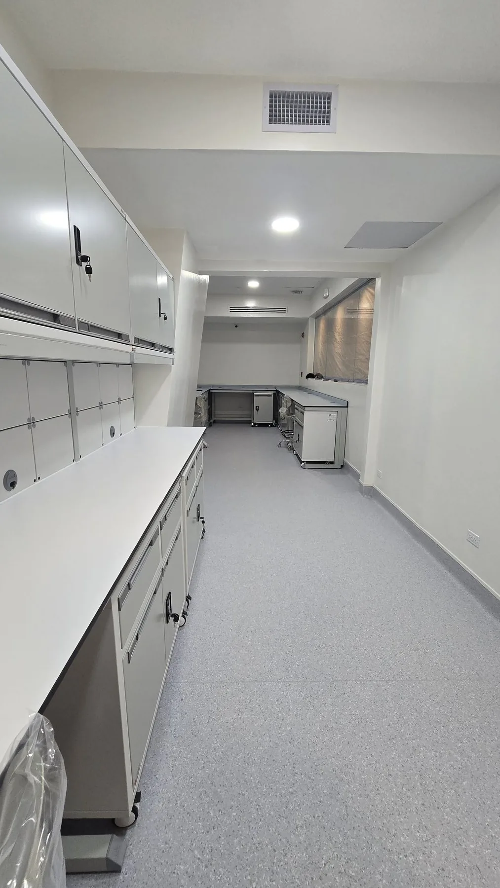 Proyecto de laboratorio en Panamá, Cellab