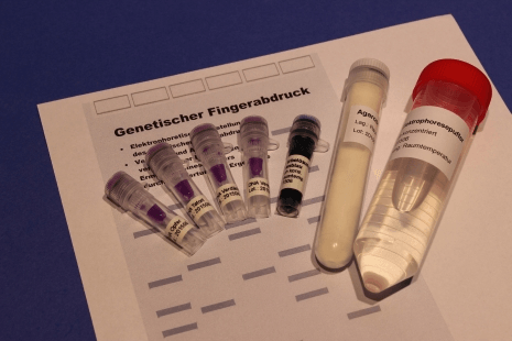 PHYWE Kit ADN forense