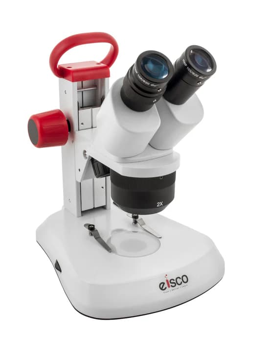 Microscopio Estereoscópico Binocular Premium 10X/20X