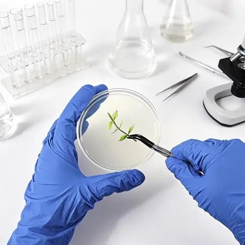 Kit de placas Petri con agar nutritivo 16 piezas - imagen 5