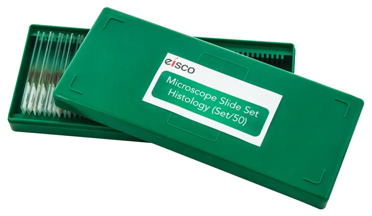 Juego de 50 Portaobjetos para Microscopio - Histología