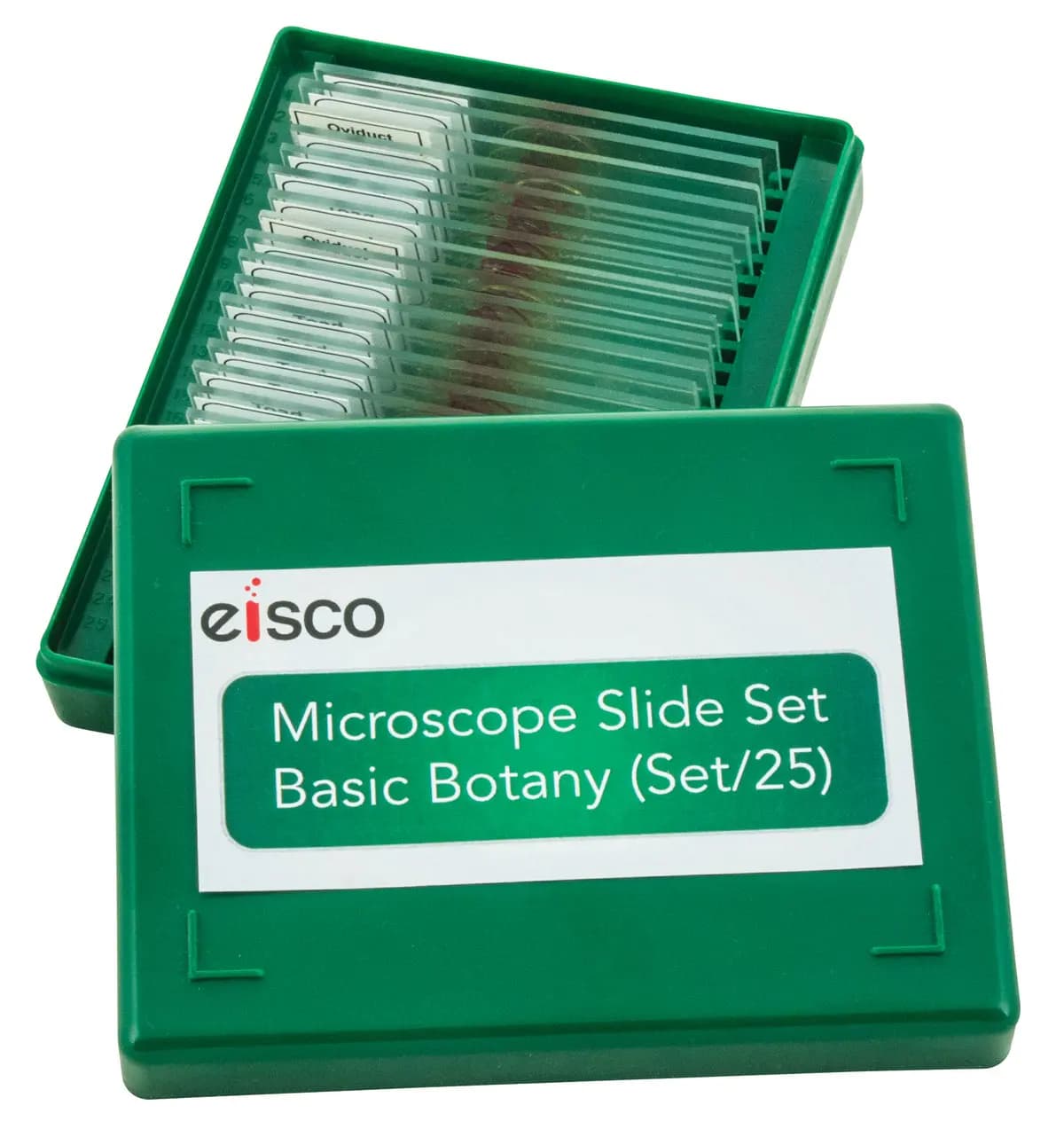 Juego de Portaobjetos para Microscopio Modelos Básicos de Botánica Juego de 25