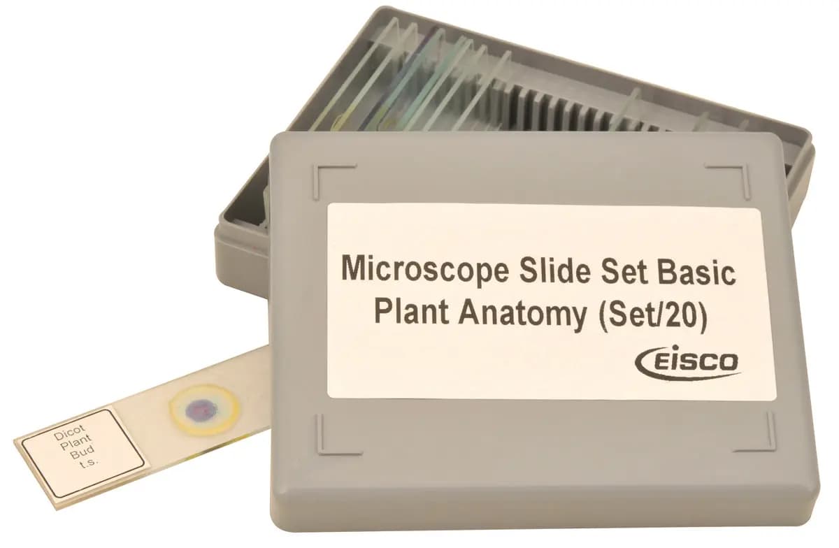 Juego de Preparaciones Microscópicas - Anatomía Vegetal Básica Set de 20