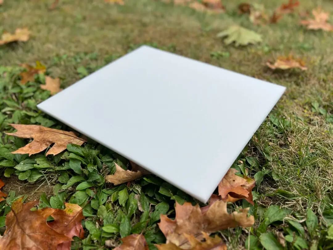 Plastazote Cornell 17,75 x 15,25 pulgadas, espuma para entomología - imagen 1