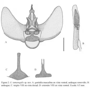 Líquido de Hoyer 100 ml para montaje microscópico - imagen 1