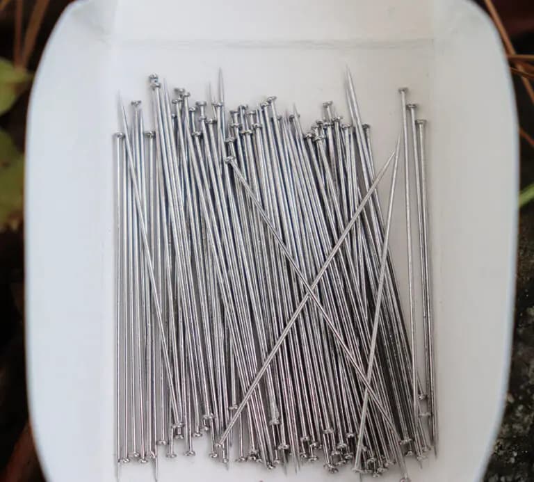 Paquete surtido de alfileres de acero inoxidable para montaje de especímenes entomológicos - imagen 2