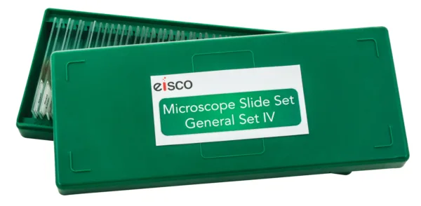 Juego de portaobjetos para microscopio de 50 piezas para principiantes