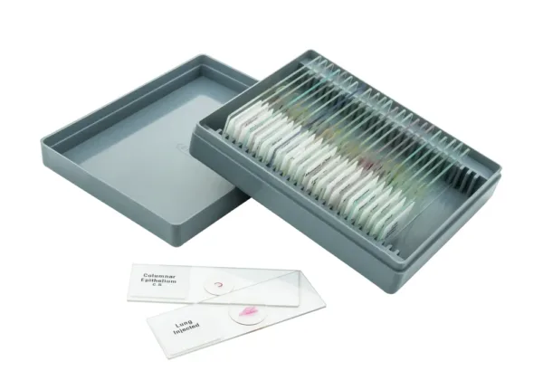 Juego de portaobjetos para microscopio 25 piezas - Imagen 3