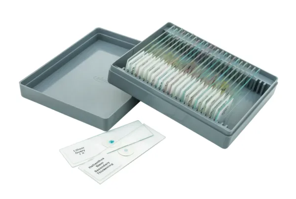 Juego de portaobjetos para microscopio 25 piezas - Imagen 3