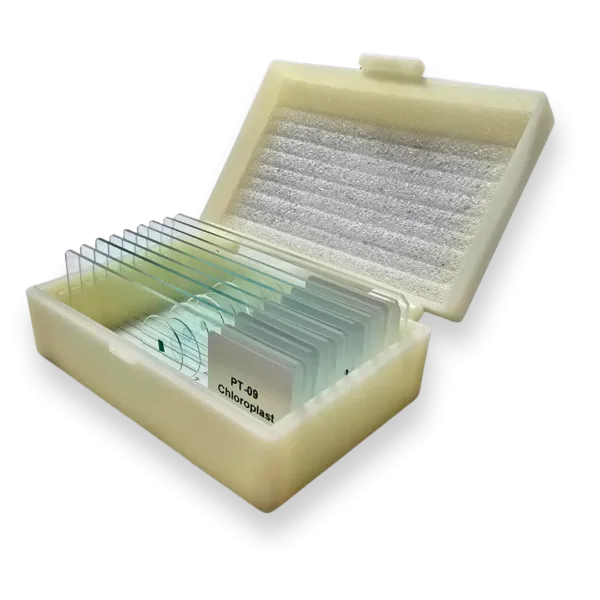 Portaobjetos tejido vegetal – set educativo de 9 muestras - Imagen 4