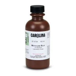 azul de metileno 1.0% 100 ml | solucion